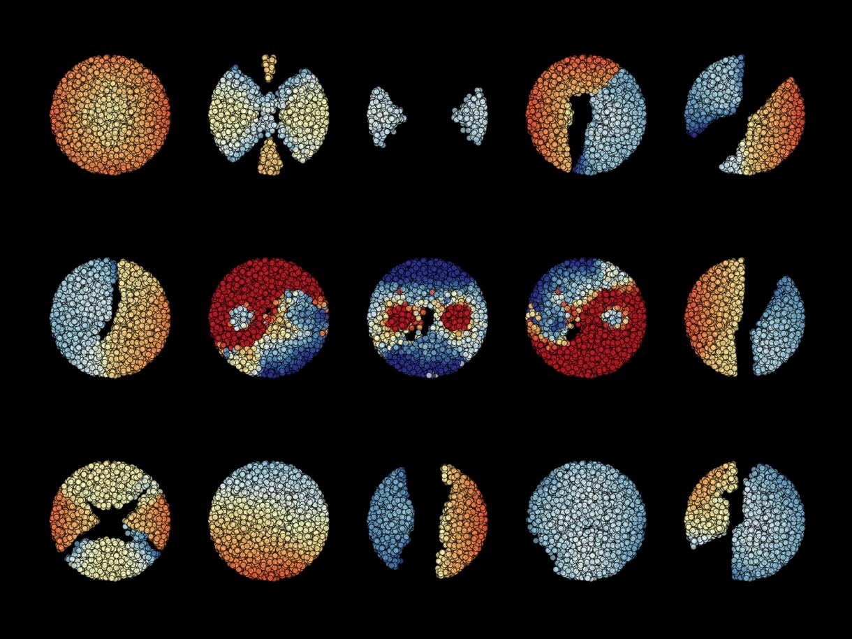 Mit neuromorphen Computern komplexe Lernaufgaben lösen
