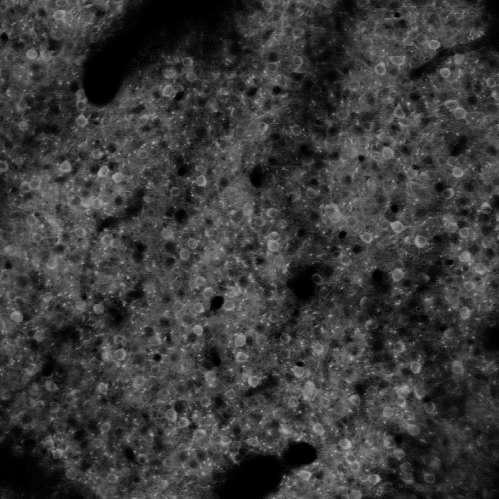 PPC imagecrop