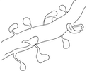 DCSPMMW24