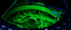EBRAINS20
