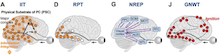 Neuron24